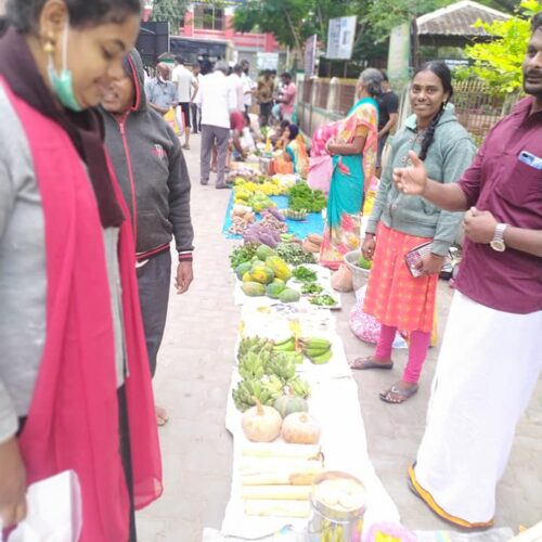 Footer Primary Without Banner