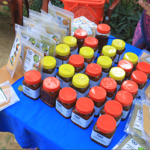 Footer Primary Without Banner