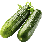Organic cucumbers are naturally grown without chemicals, offering fresh taste, high water content, and healthy nutrition — a safe and eco-friendly choice for everyday use.