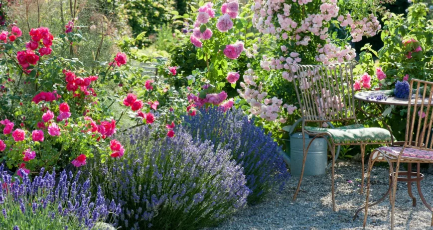 Fragrant Flower Gardens