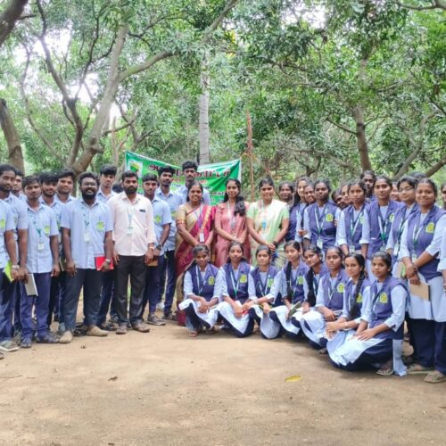 Footer Primary Without Banner