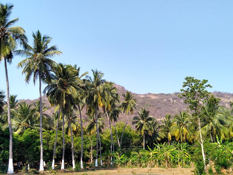 Organic Farming Philosophy