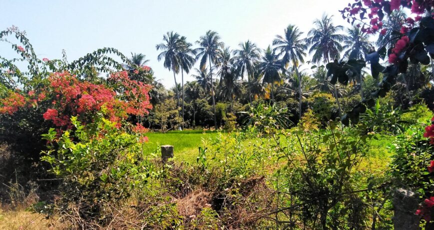Farm visits, school tours, and rural experiences connecting people with sustainable agriculture and traditional farming life.