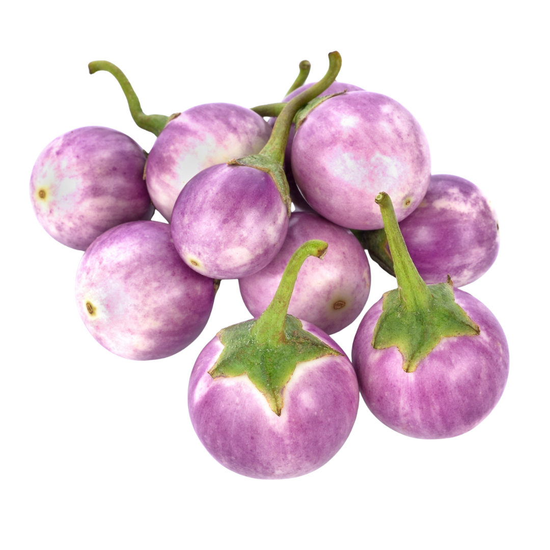Organic Spiny Brinjal 🍆