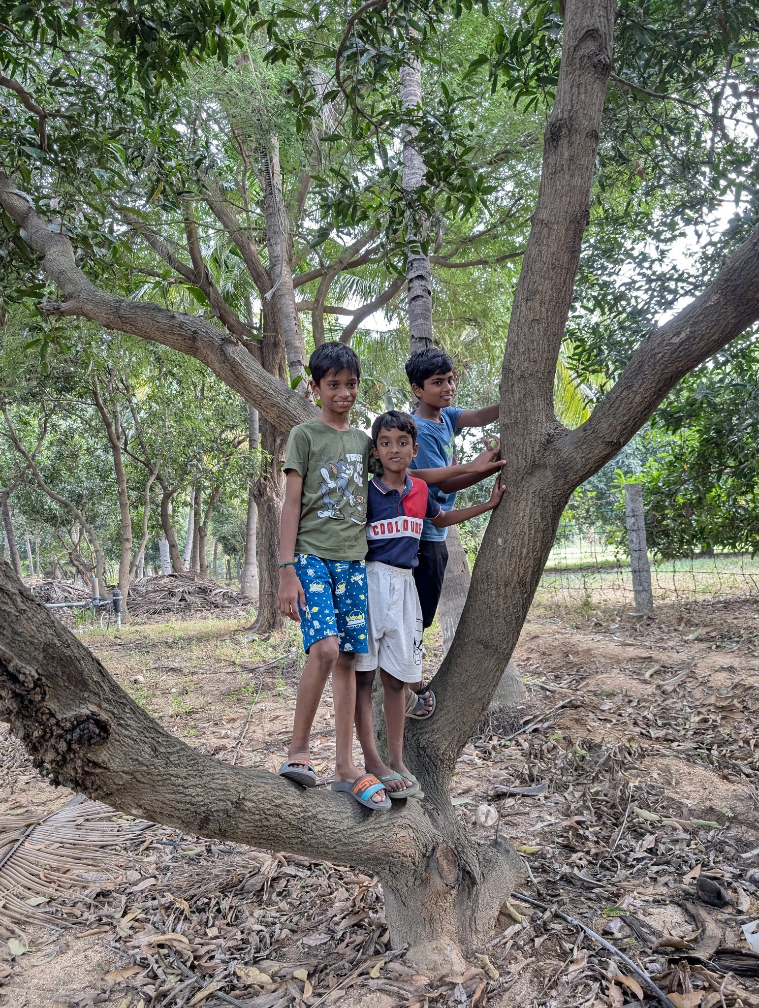 Farmstay Arivuthottam