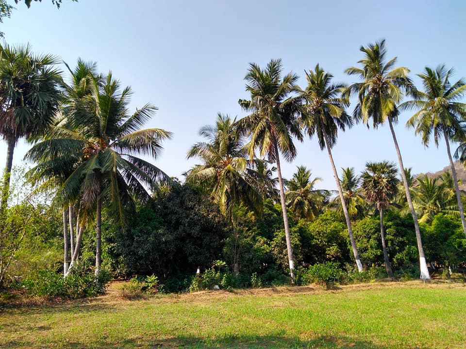 Agro Tourism Arivuthottam