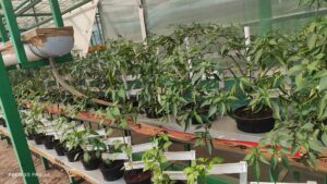 639175672_26204127785885416_904208489048110023_n