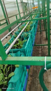 641416136_26204128955885299_6633221138733184028_n